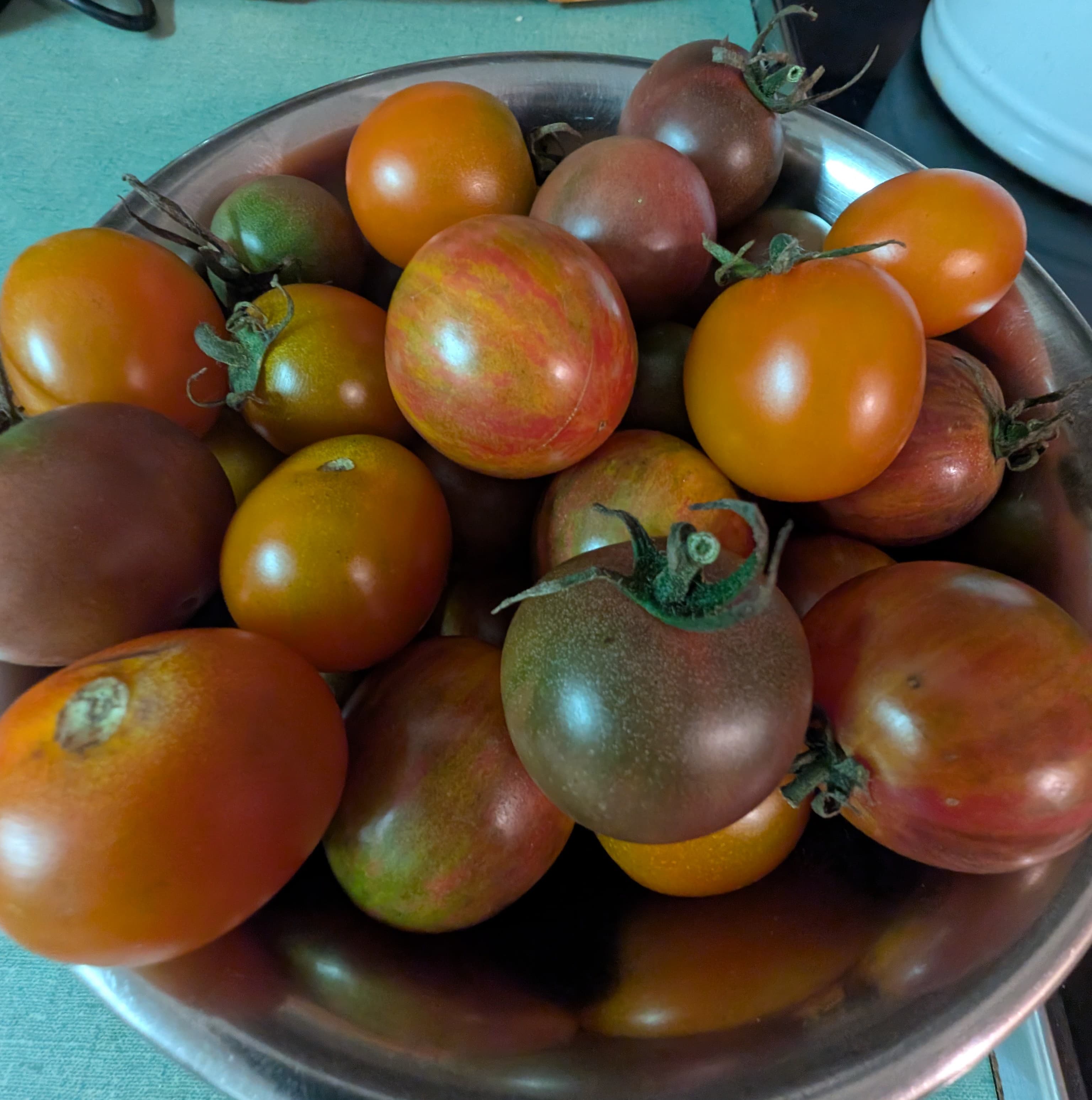 Mixed Cherry Tomatoes