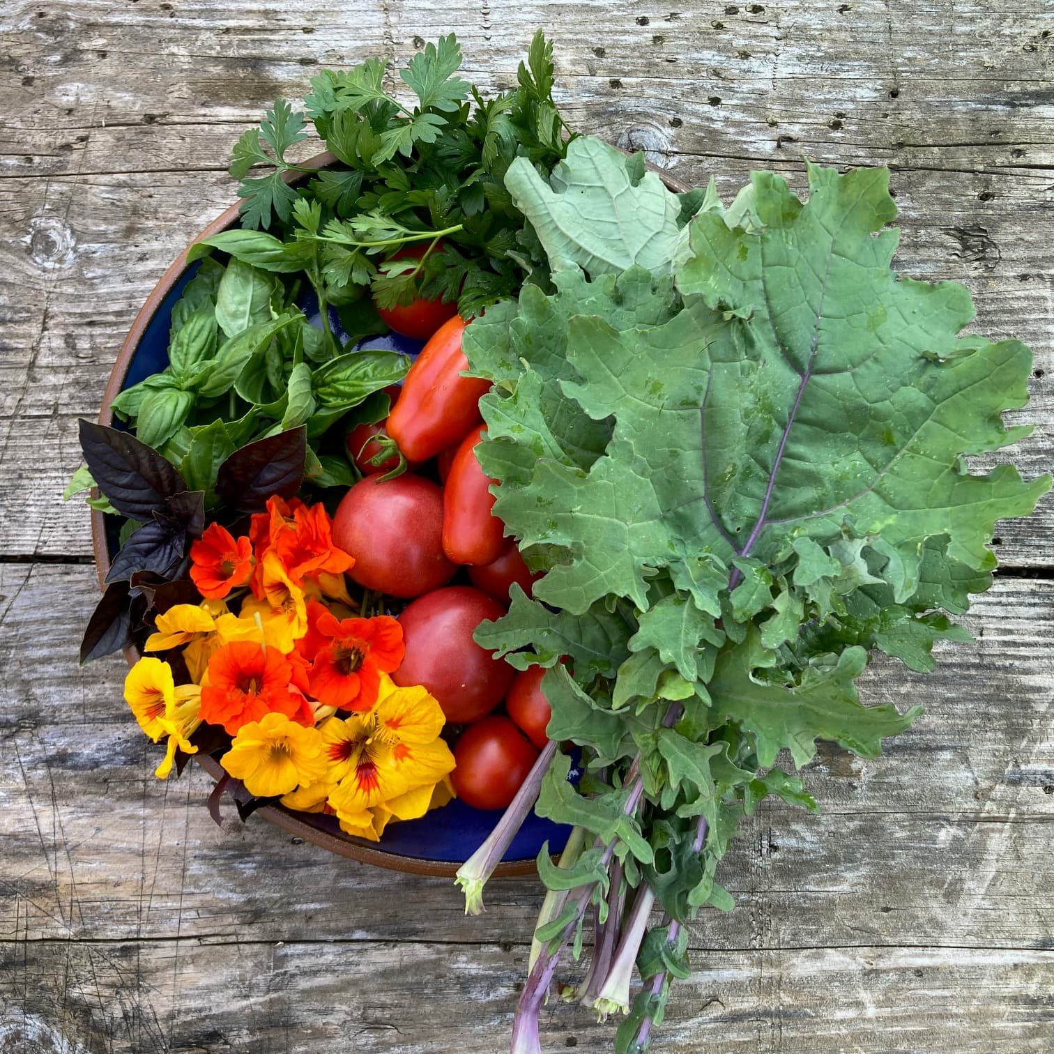 Harvest of the Week