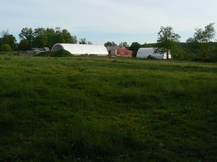 Cato Corner Farm farm