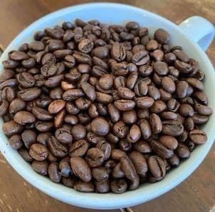 Absolute Bearing Coffee Company farm