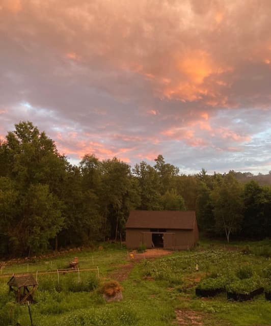 Life at Pollinator Farm