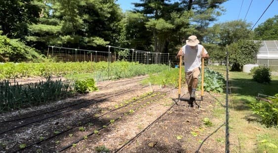 Life at The Daily Market Farm