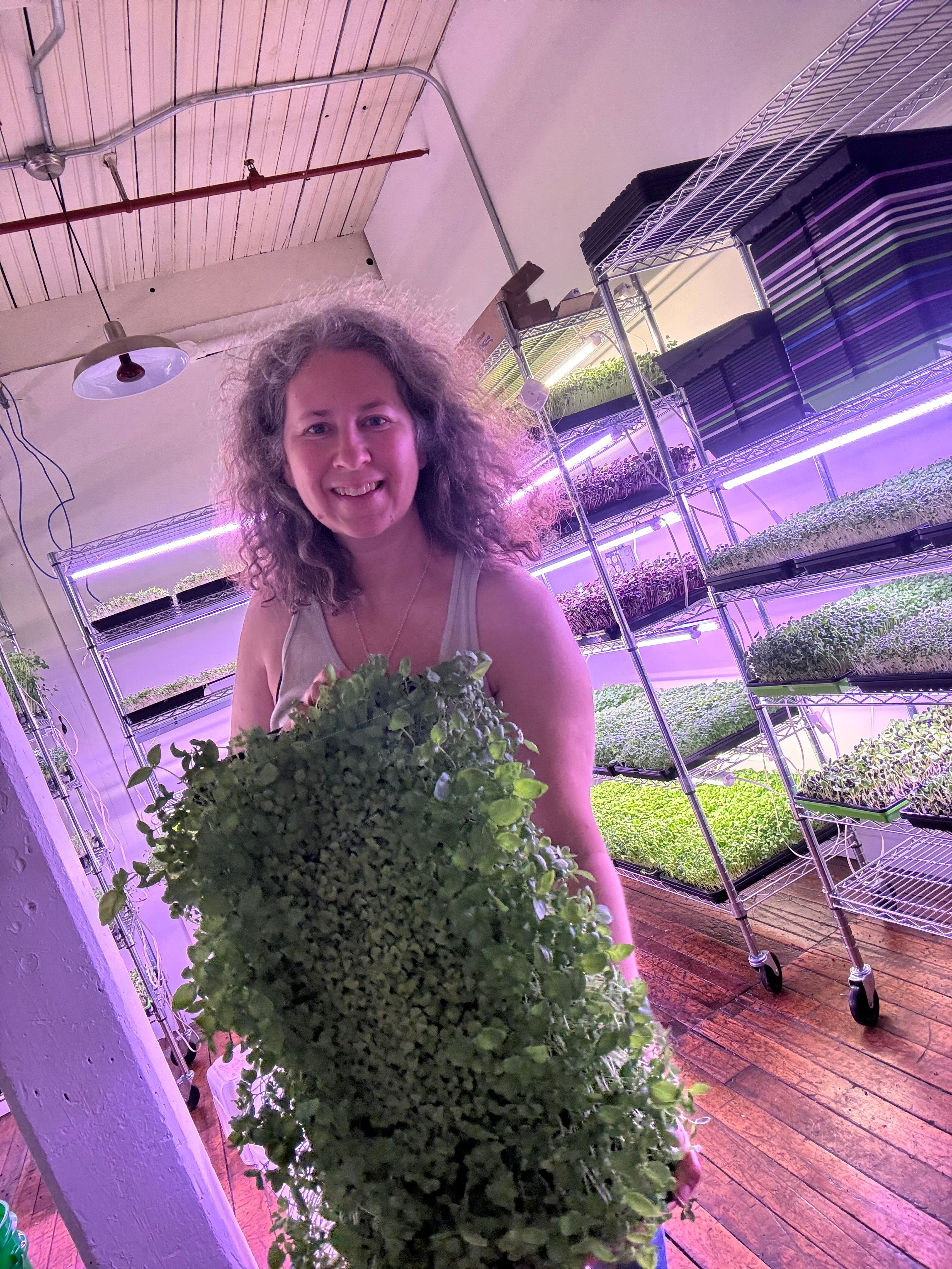 Jennys Greens farm