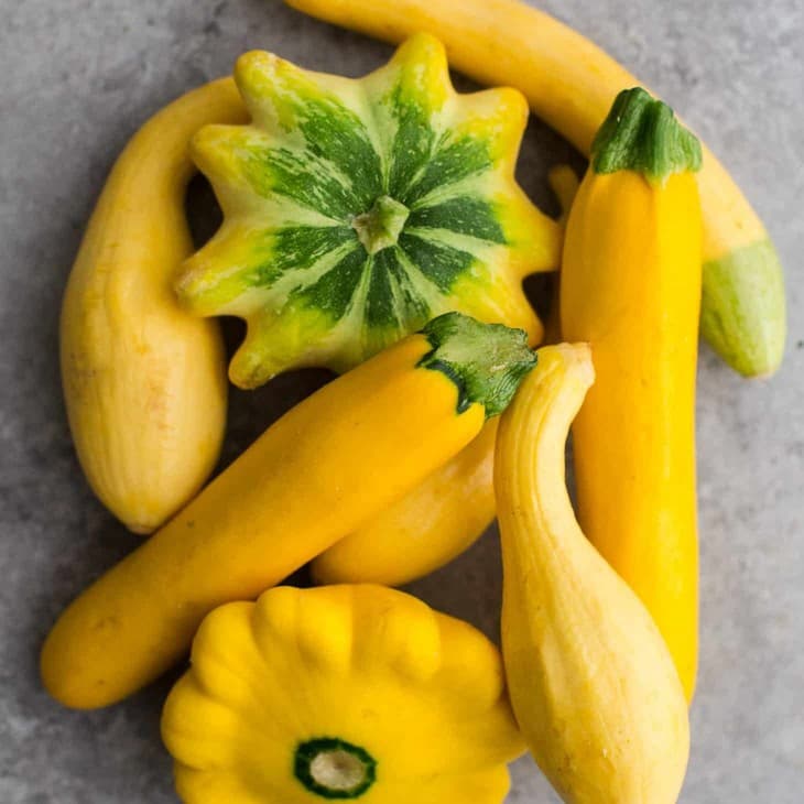 Squash, Summer