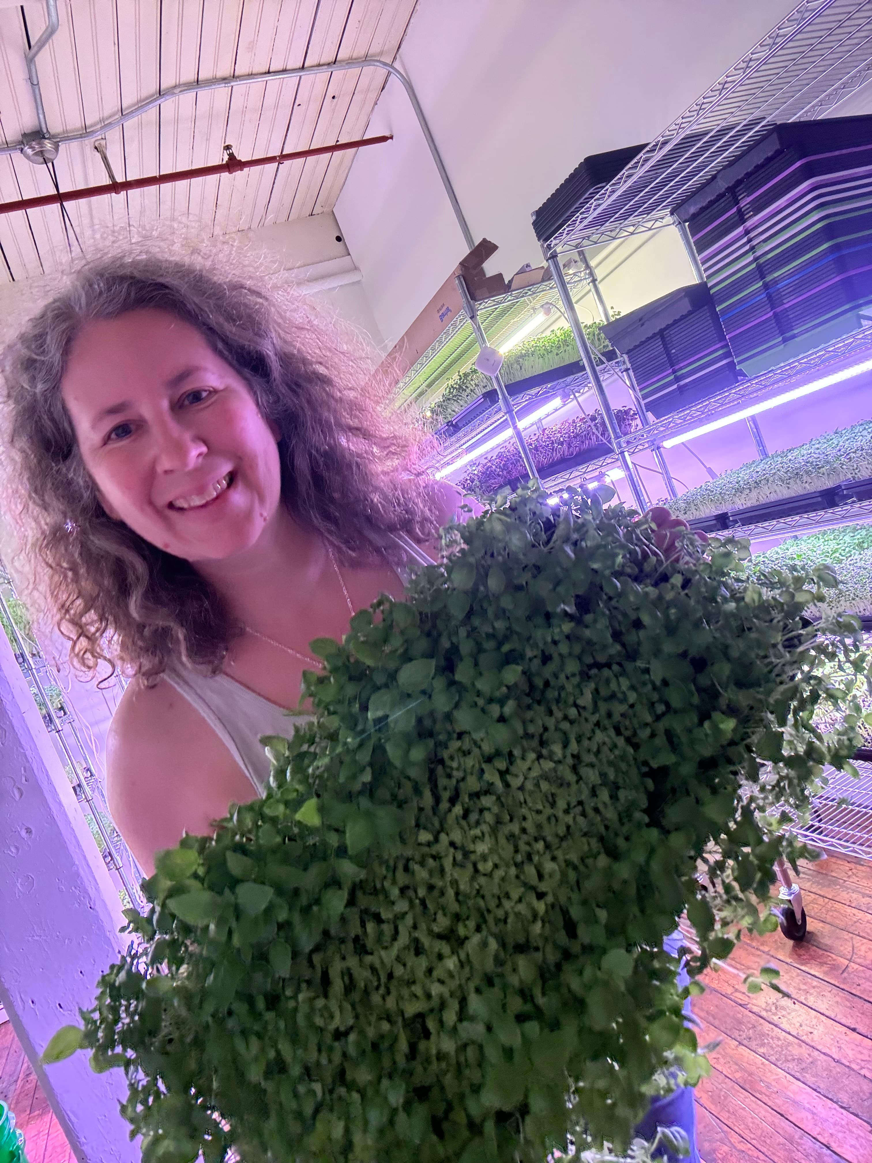 The people behind Jennys Greens